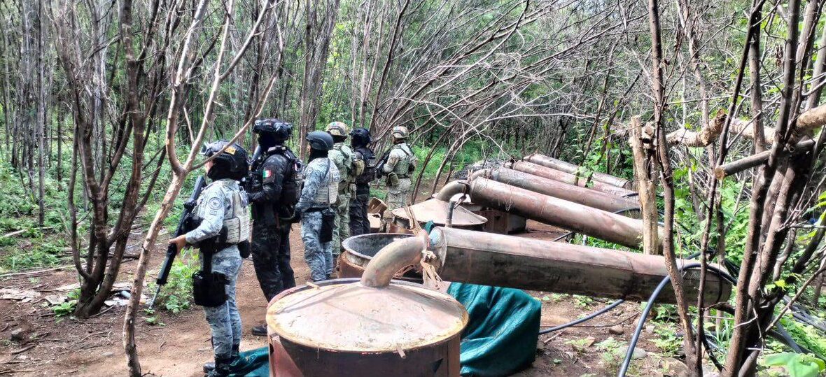 Desmantelan cuatro laboratorios clandestinos en Michoacán y Guerrero