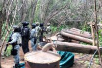 Desmantelan cuatro laboratorios clandestinos en Michoacán y Guerrero