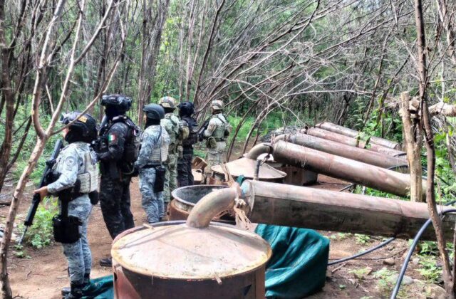 Desmantelan cuatro laboratorios clandestinos en Michoacán y Guerrero
